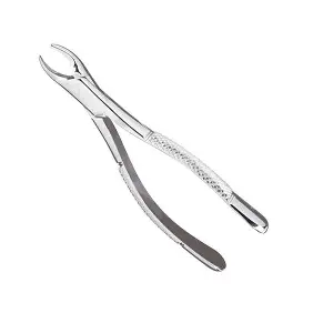 Dental Extraction Forceps - Tooth Removal