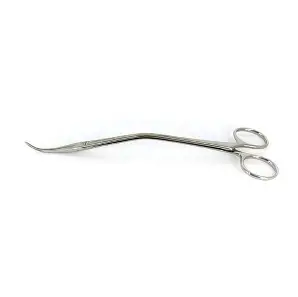 Wilson Artery - Hemostatic Forceps